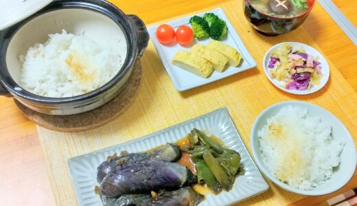 なすの煮浸しとキャベツの酢漬け！【男一人の平日夕飯】