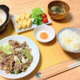 豚肉と長ねぎの塩炒め！【男一人の平日夕食】