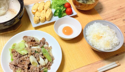 豚肉と長ねぎの塩炒め！【男一人の平日夕食】