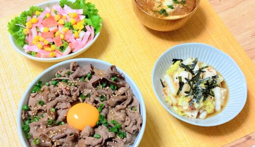 牛肉丼と白菜と豆腐のおかか和え！【男一人の平日夕食】