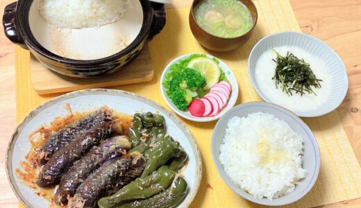 なすとピーマンのやわらか煮＆とろろご飯！【男一人の平日夕食】