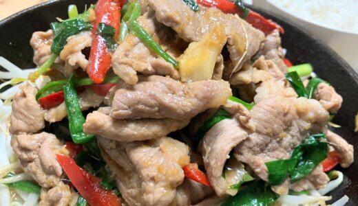 豚肉のスタミナ焼き【おひとり様レシピ】